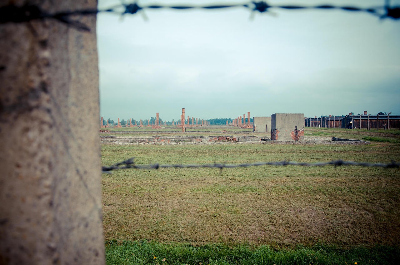 holocaust, majdanek, poland, barbwire, fence, concentration, barbed, prison, security, historical, landmark, memorial, historic