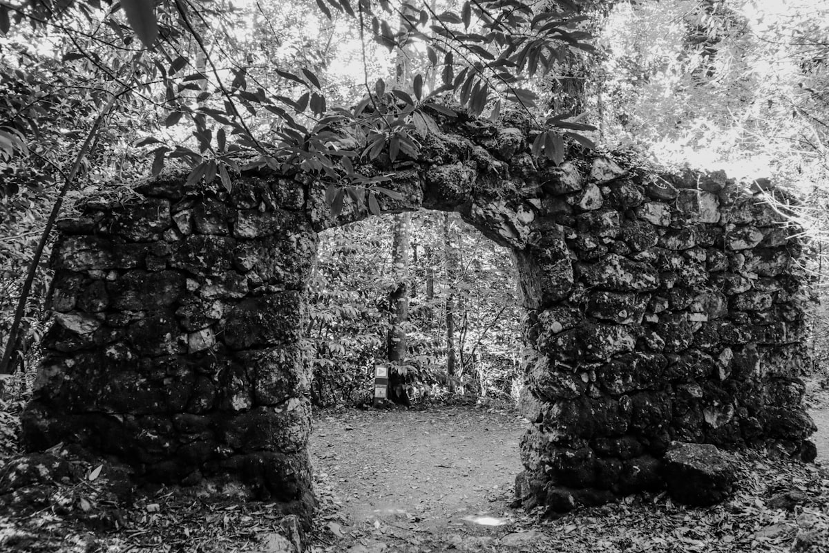 Stone archway stands in a lush forest.