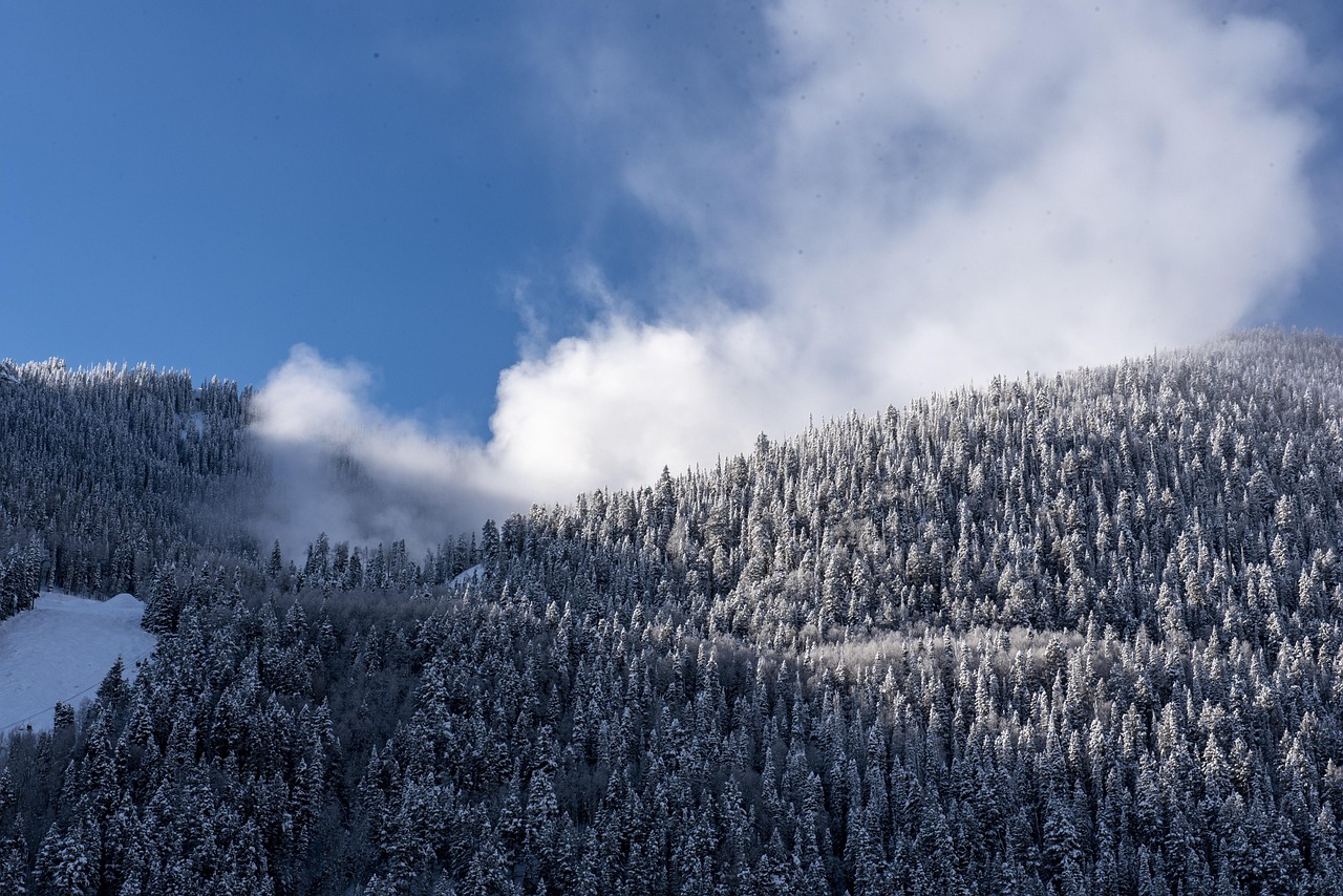 telluride, colorado, ski, nature, ski resort, outdoors, snow, winter, mountains, trees, cold, landscape, town