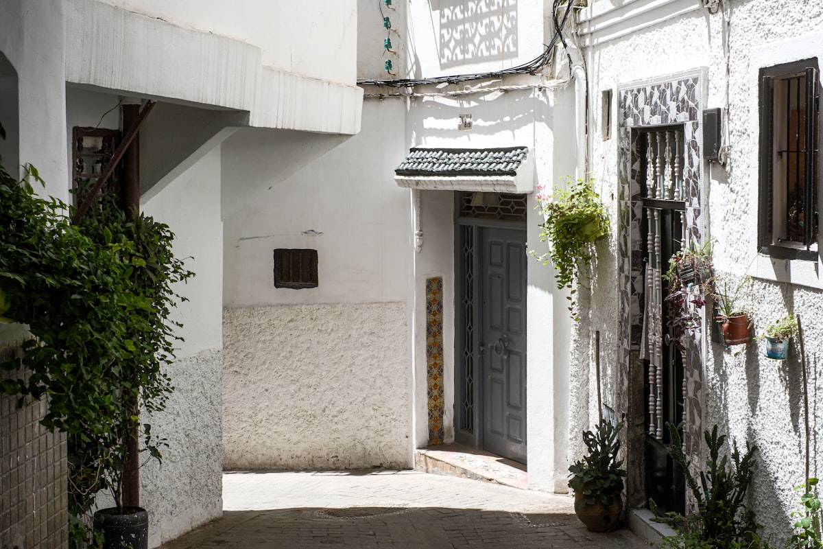 Narrow street with white buildings and plants.