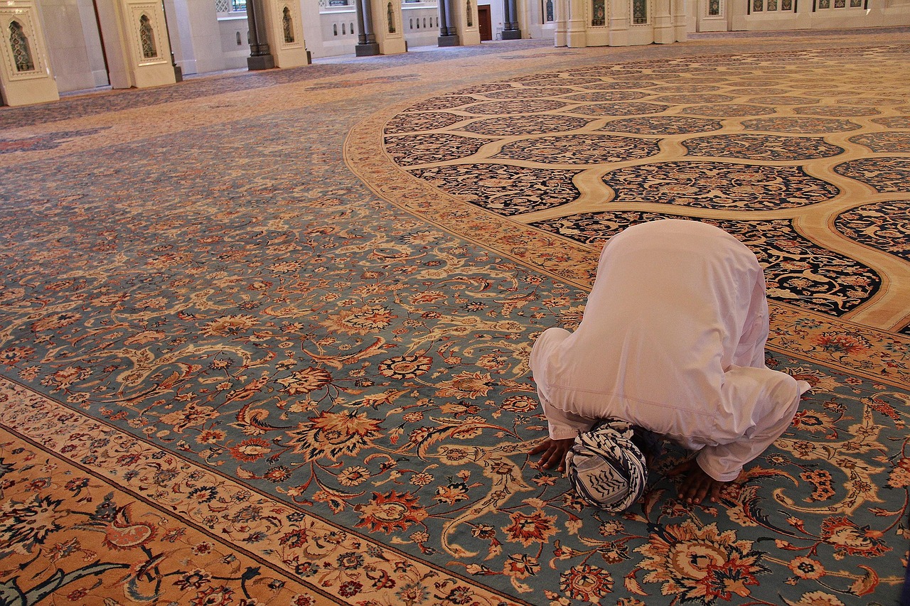 pray, prayer, carpet, design, pattern, desktop, decoration, art, architecture, culture, mosaic, religion, ornate, sultan qaboos grand mosque, grand, mosque, amazing, beautiful, interior, lights, stunning, muscat, oman, middle east, travel, religious, holy, islam, attraction, golden, people, brown travel, brown art, brown pray, brown design, brown pattern, brown mosque, brown prayer, brown culture, brown interior, mosque, mosque, mosque, mosque, mosque, islam