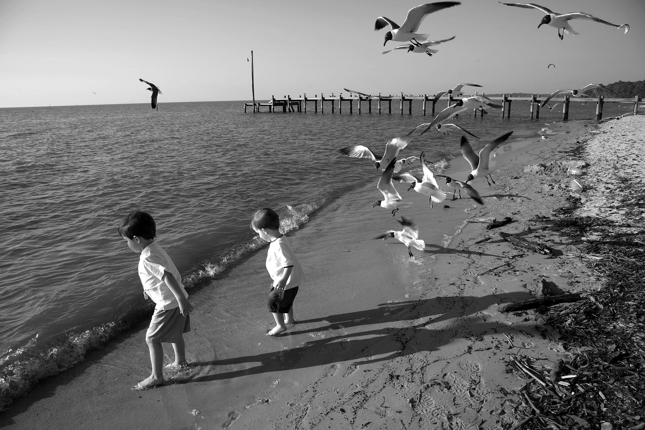 mobile bay, alabama, shoreline, shore, gulf of mexico, water, beach, birds, seagulls, pier, boys, children, playing, black and white, nature, outside, gray beach, gray mobile, mobile bay, alabama, alabama, alabama, alabama, alabama