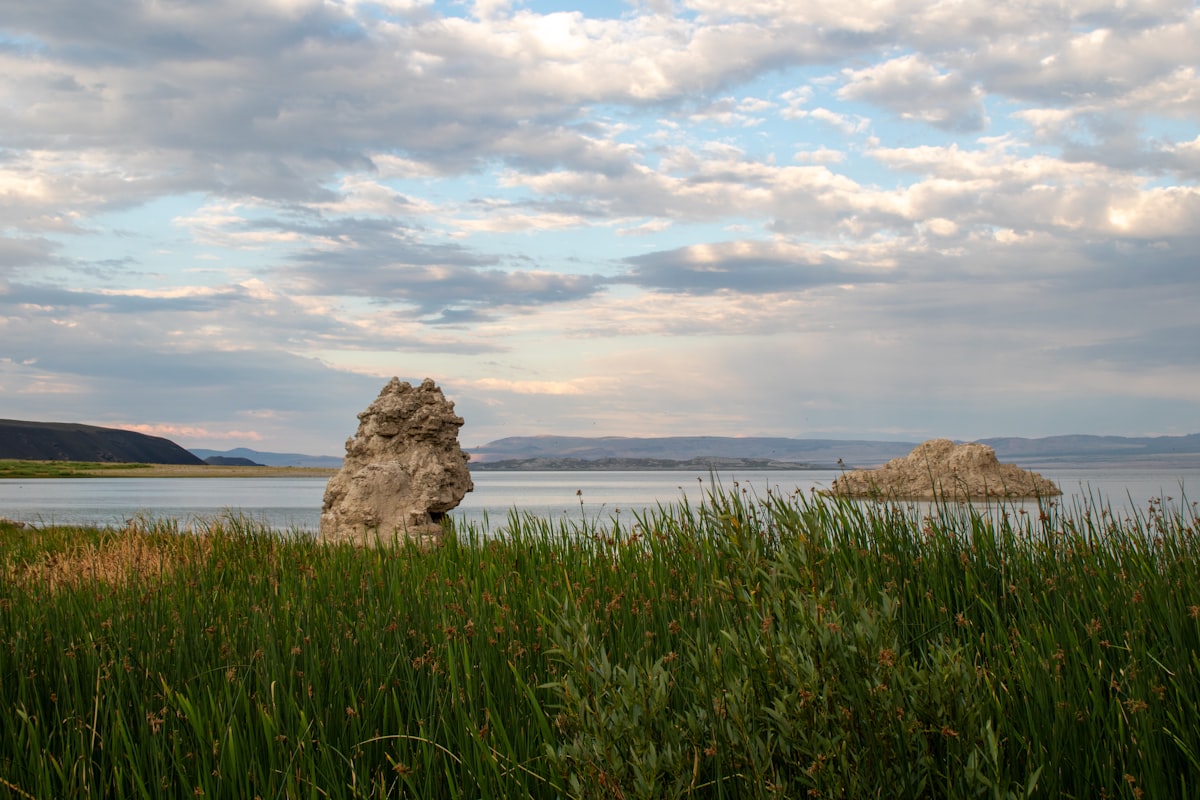 A large rock sitting on top of a lush green field