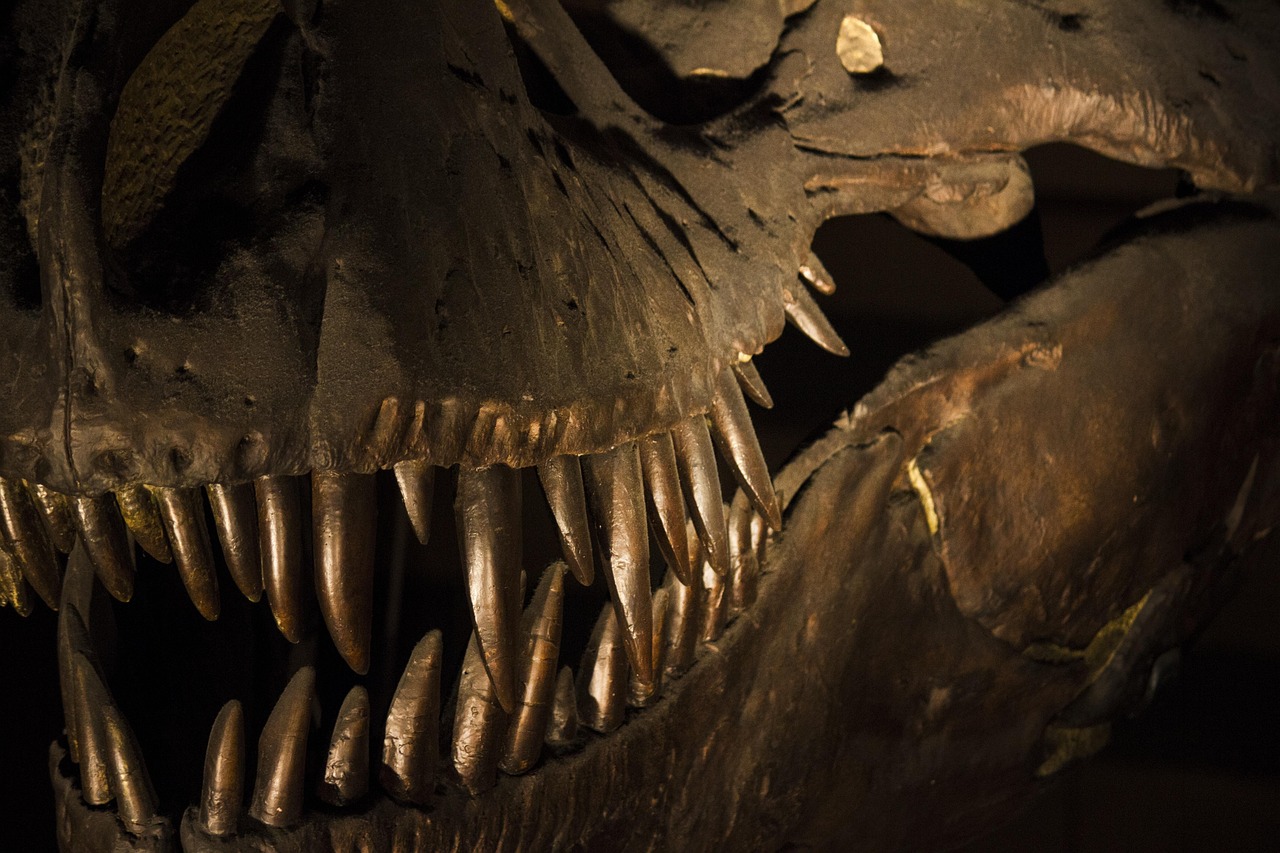 london, museum, history, dinosaur, natural history museum, bone, teeth, dinosaur, dinosaur, dinosaur, dinosaur, dinosaur