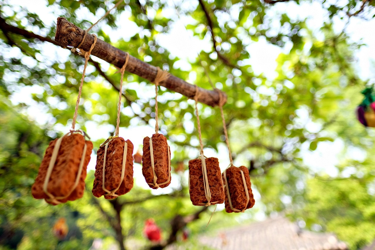 yongin, folk village, nature, meju, tree, bokeh