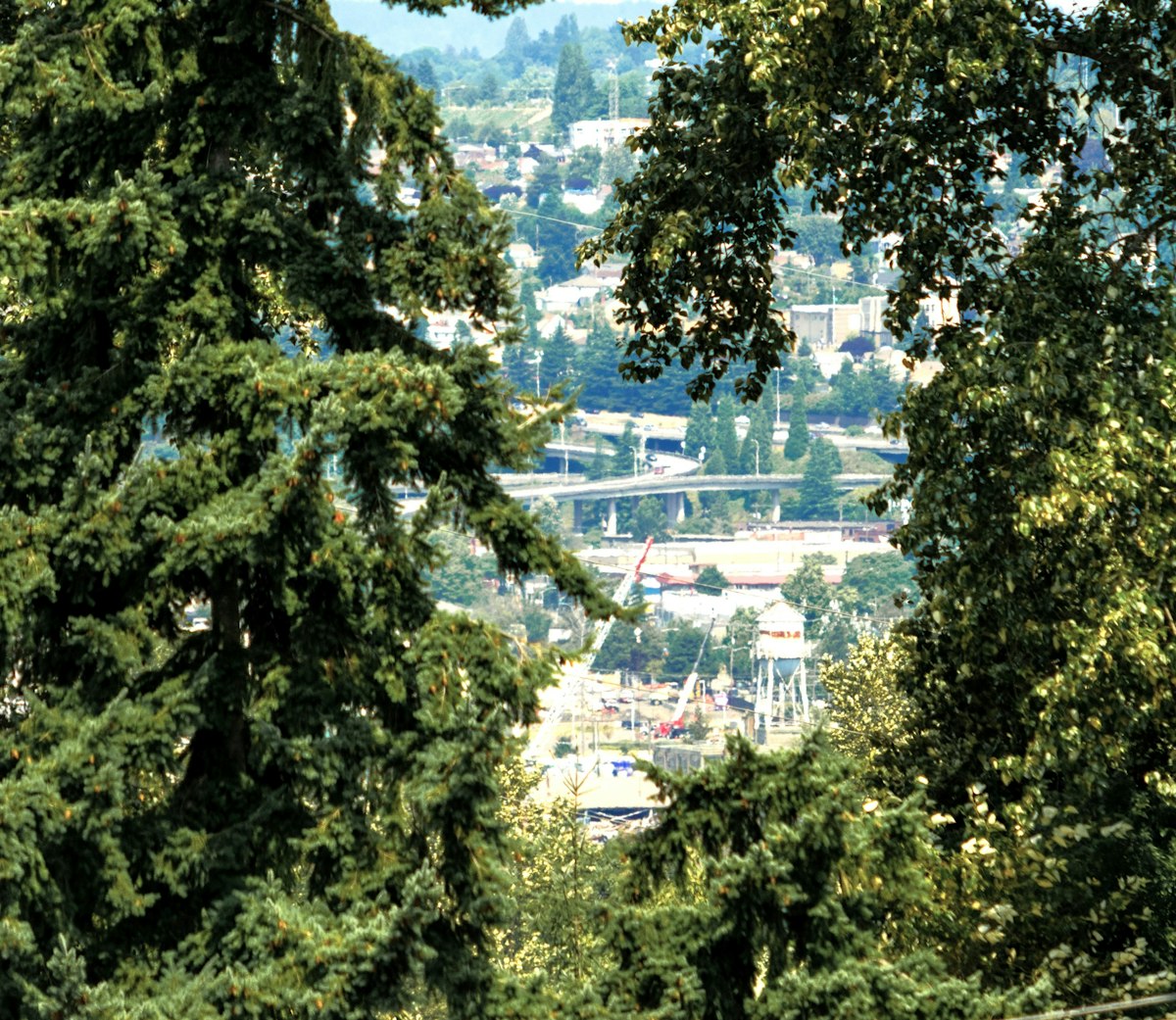 A view of a city through some trees
