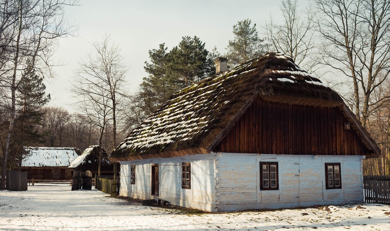cottage, winter, old hut, wooden hut, open air museum