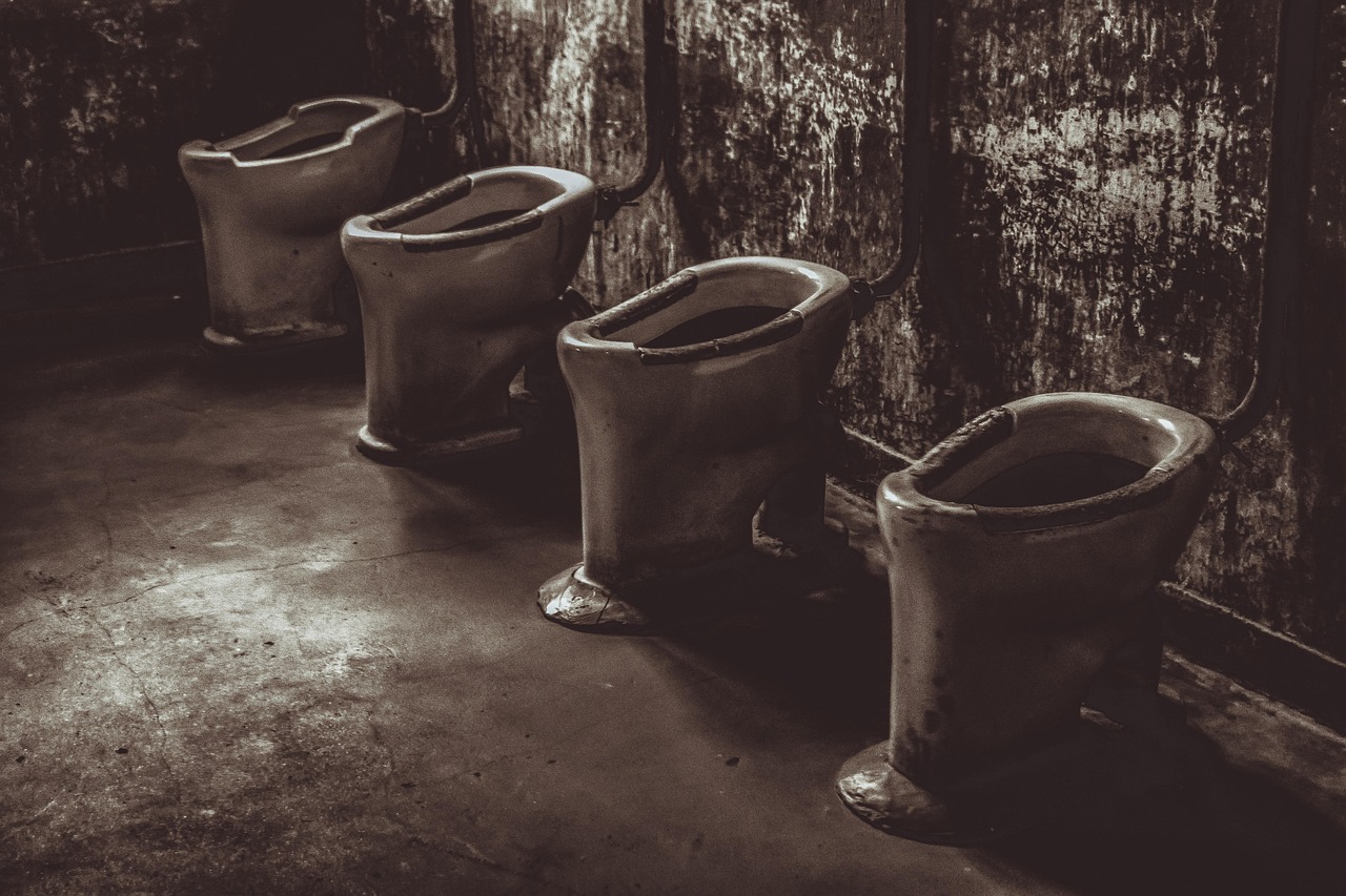 auschwitz, concentration camp, toilets, history, war, prison, nazism, holocaust, museum, suffering