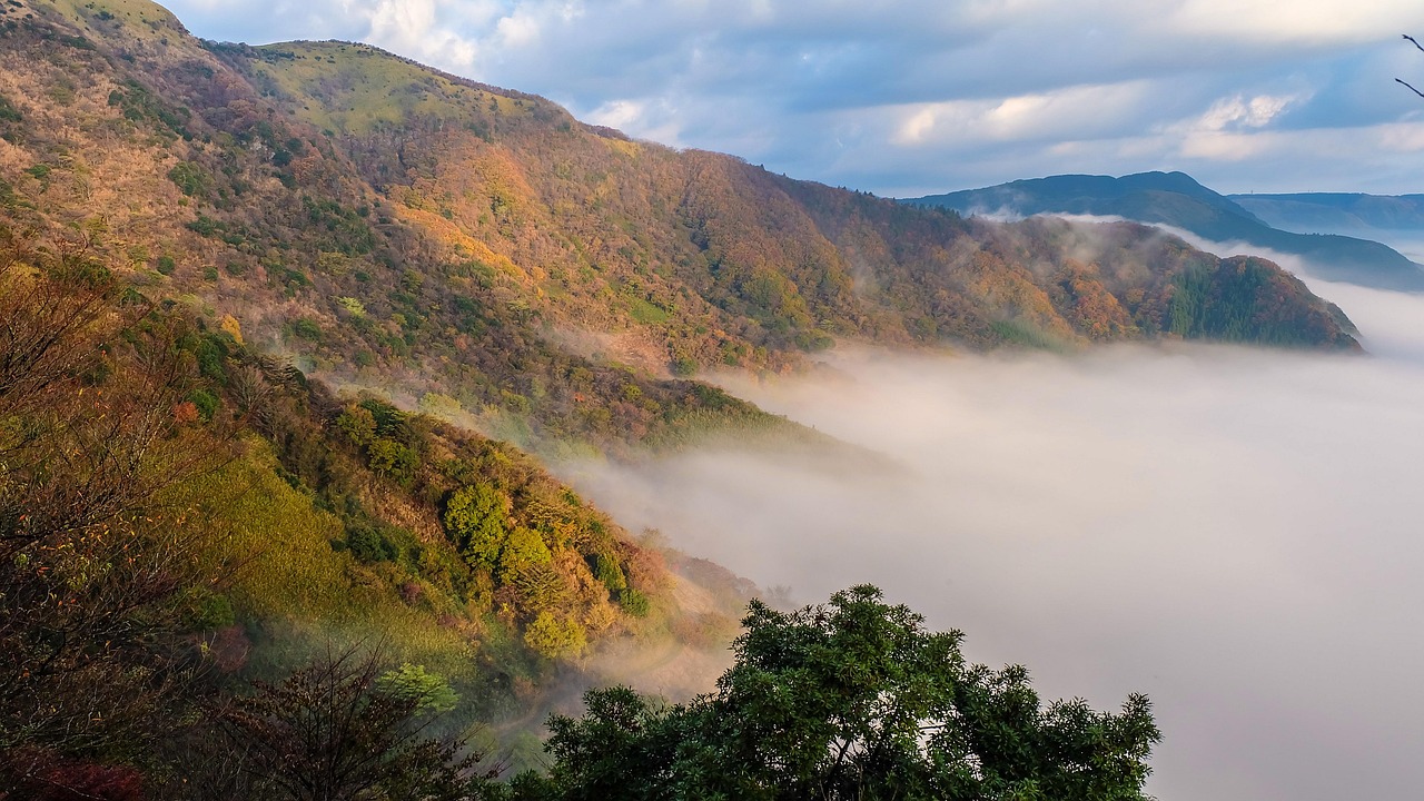 japan, kumamoto, aso, cloud, somma, light, autumnal leaves, mountain, woods, colorful, nature, tree, forest, autumn