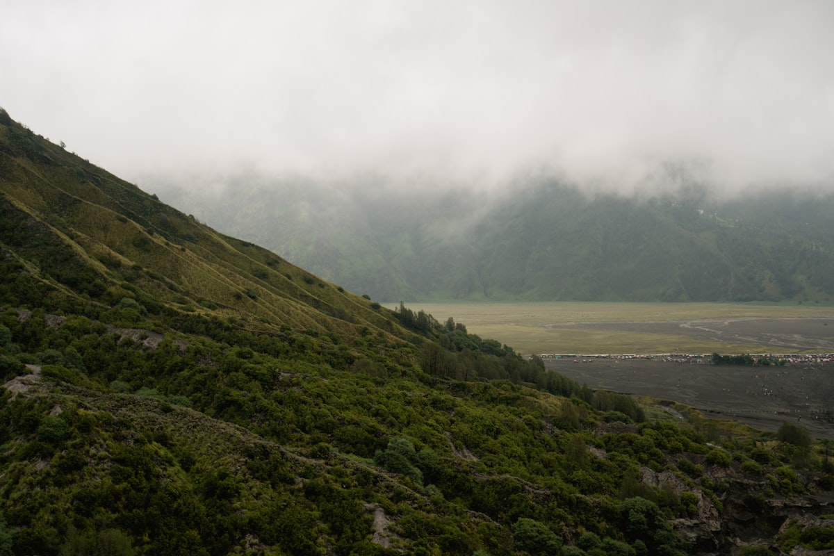 Misty mountains covered in green vegetation