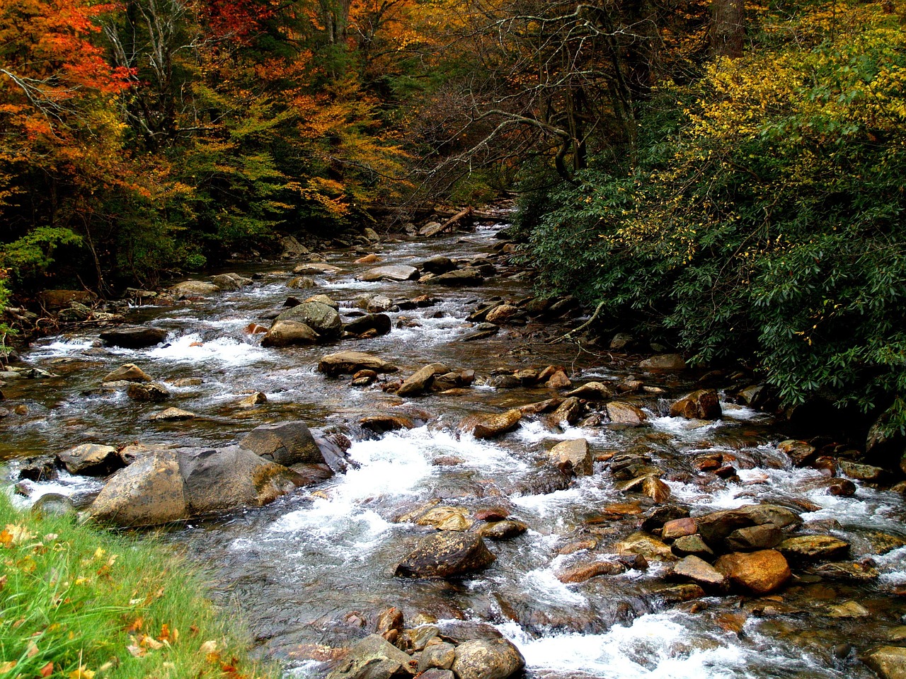 scenic, great smoky mountains, tennessee, smokies, park, brook, water, falls, babbling, autumn, national, landscape, nature, forest, travel, america, wilderness, ridge, usa, environment, peaceful, valley, scenery, natural, stone, trees, outdoors, green, leaves, leaf, gold, red, river, riverbed, stream, whitecaps, flow, scene