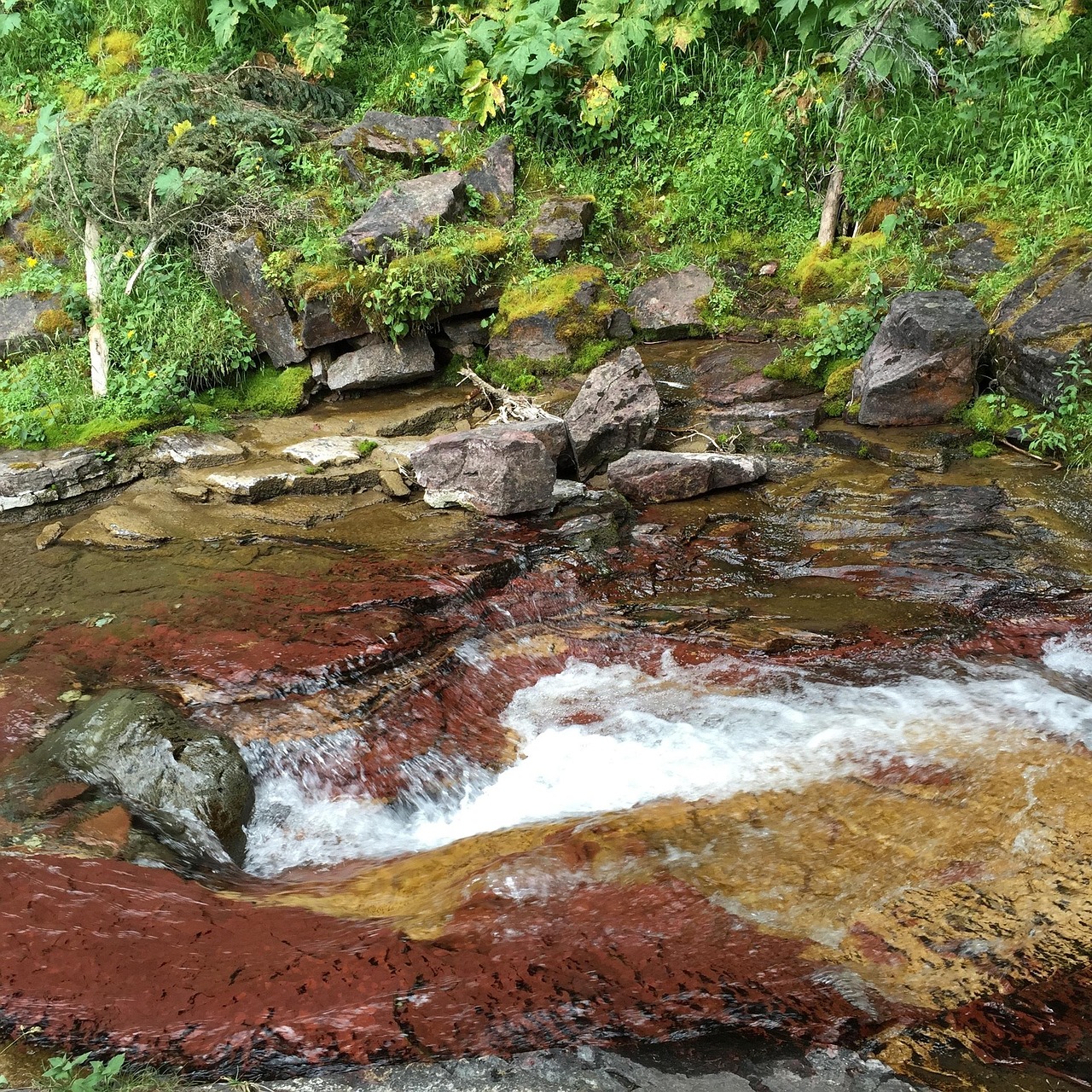 glacier, park, stream, national, nature, montana, river