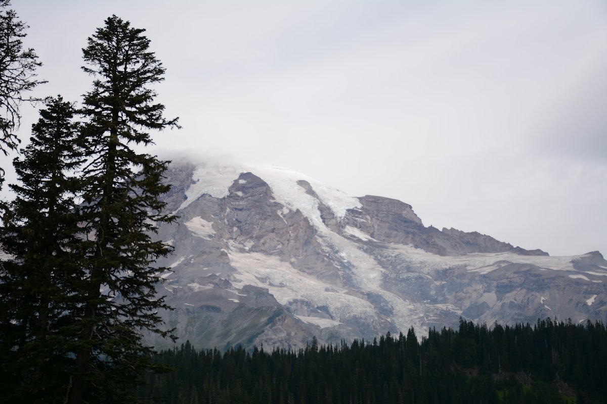 a snow covered mountain with trees in the foreground