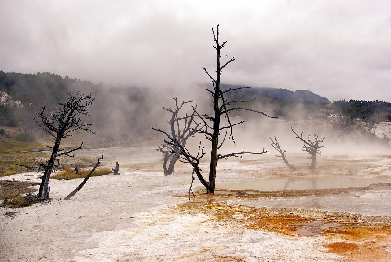canary spring vapors, mammoth, hot, spring, yellowstone, national, park, wyoming, landscape, minerals, water, terrace, nature, colorful, steam, limestone, scenery, volcanic, springs, geothermal, thermal, scenic, travertine, deposits