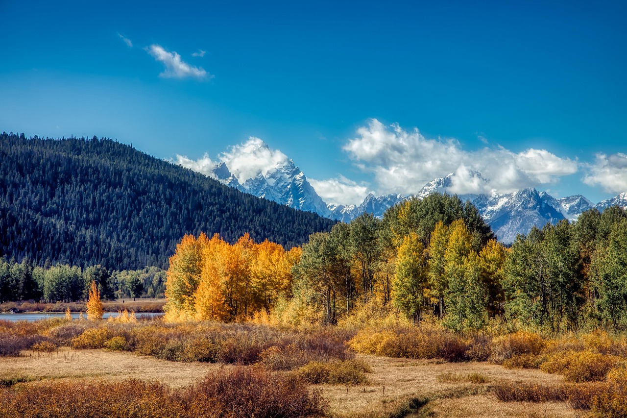 grand teton national park, wyoming, america, hdr, mountains, fall, autumn, snow, valley, nature, outdoors, forest, trees, woods, foliage, country, countryside, wilderness, sky, clouds, landscape, scenic, wyoming, wyoming, wyoming, wyoming, wyoming, countryside, countryside