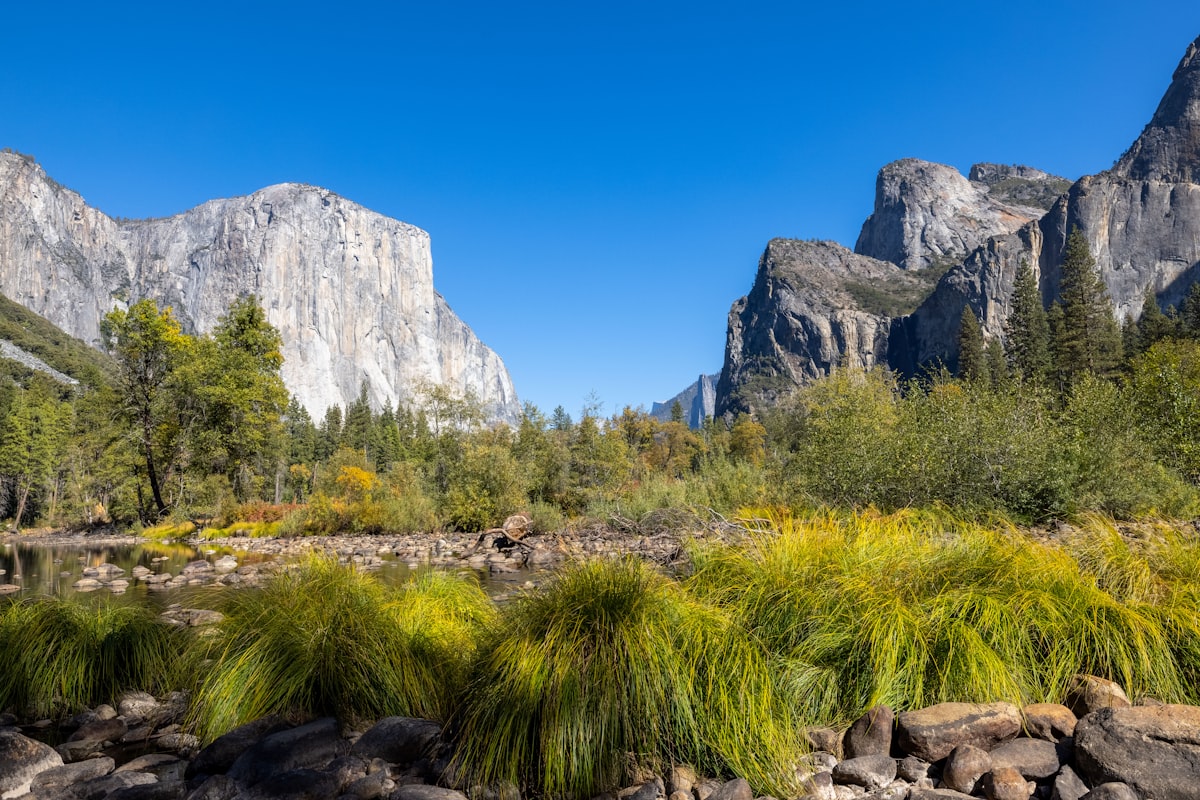 a river surrounded by mountains and trees