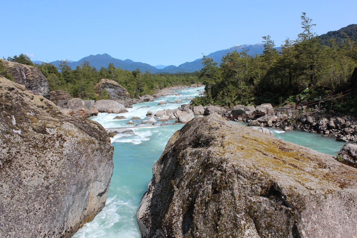 river in between green trees under blue sky during daytime