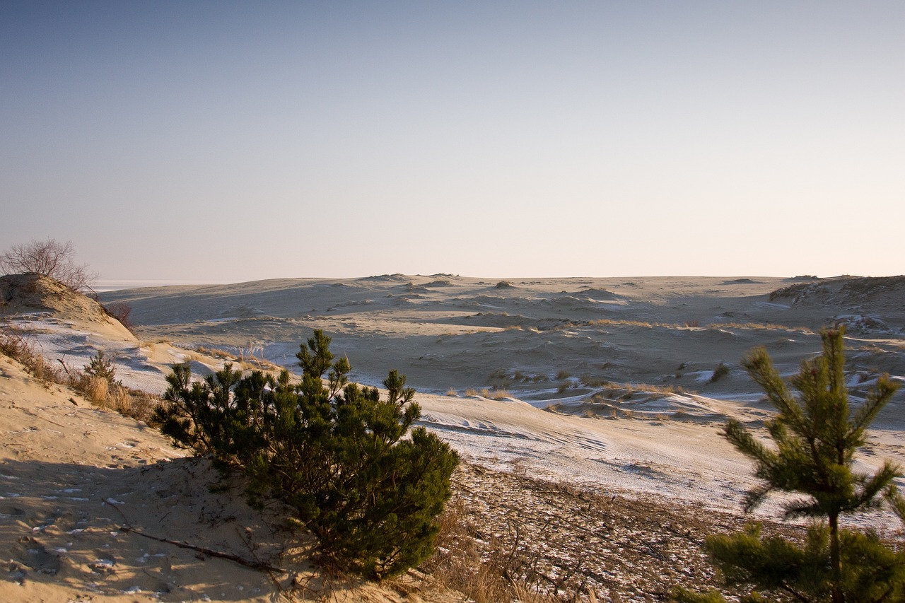 curonian spit, height efa, baltic, winter, nature, snow, dunes