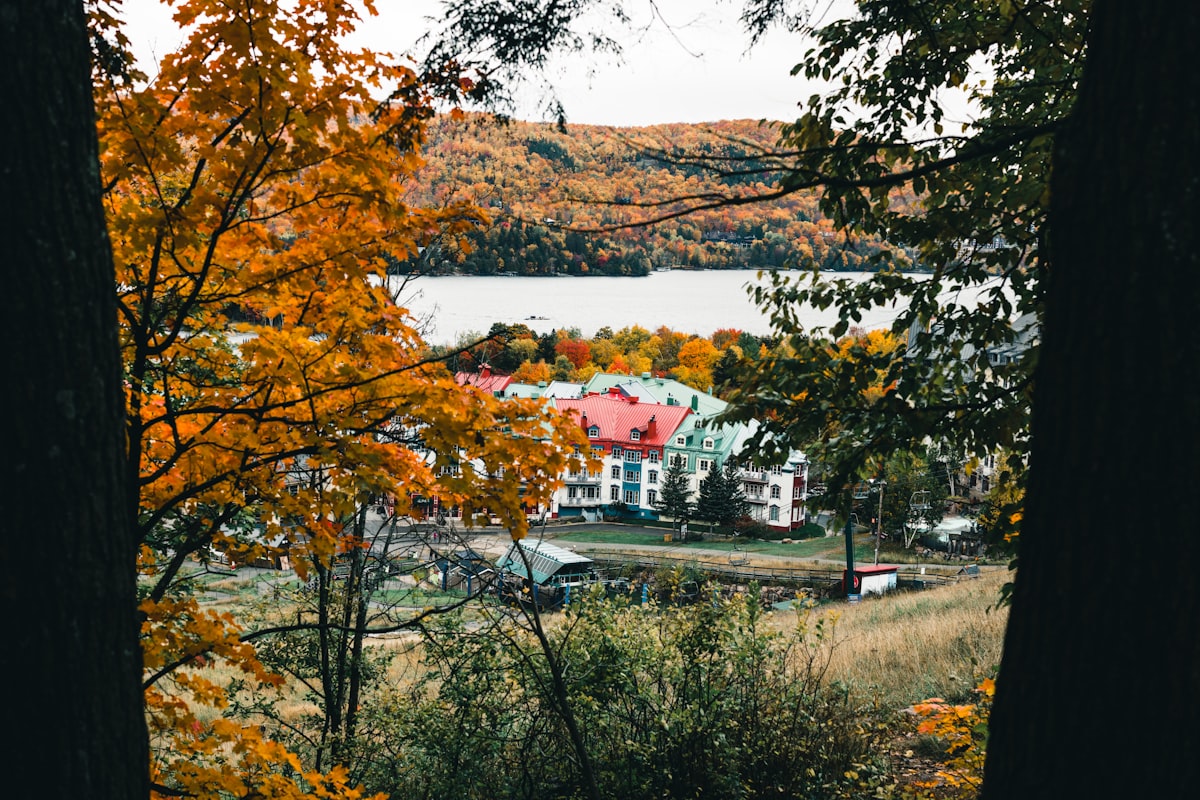 a view of a house from a forest