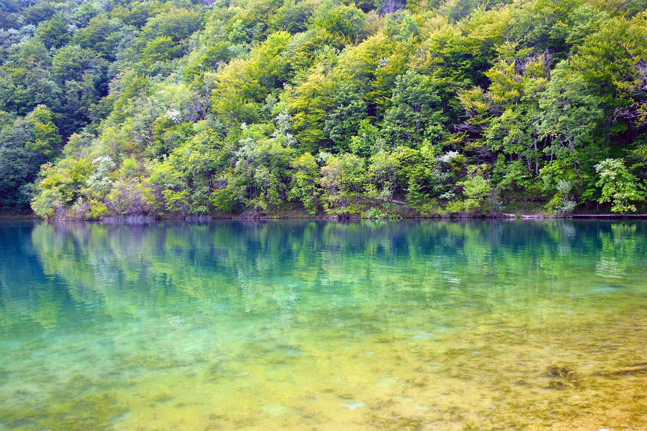 plitvice national park, waterfall, water, green, croatia, plitvice, landscape, nature, cascade, forest, lake, green waterfall