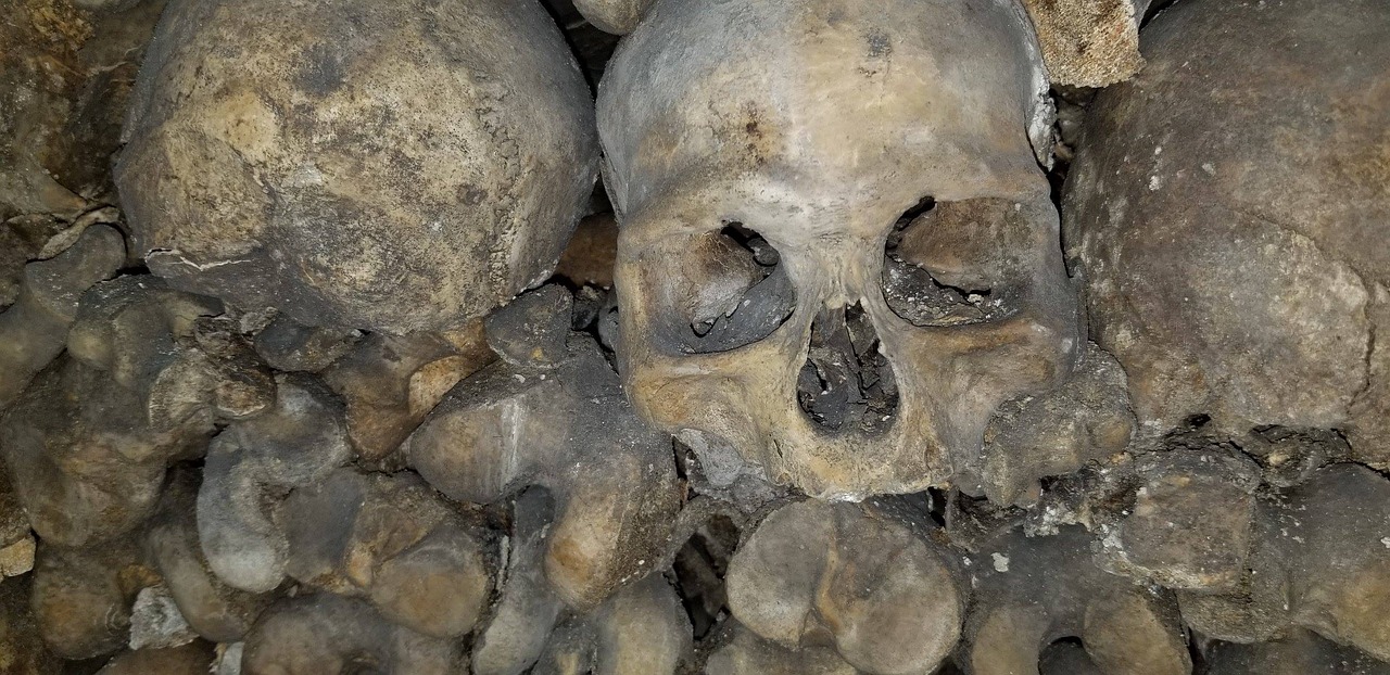 paris, dead, cemetery, graveyard, grave, burial, underground, skeleton, catacombs, human, cranium, cemetery, burial, burial, catacombs, catacombs, catacombs, catacombs, catacombs