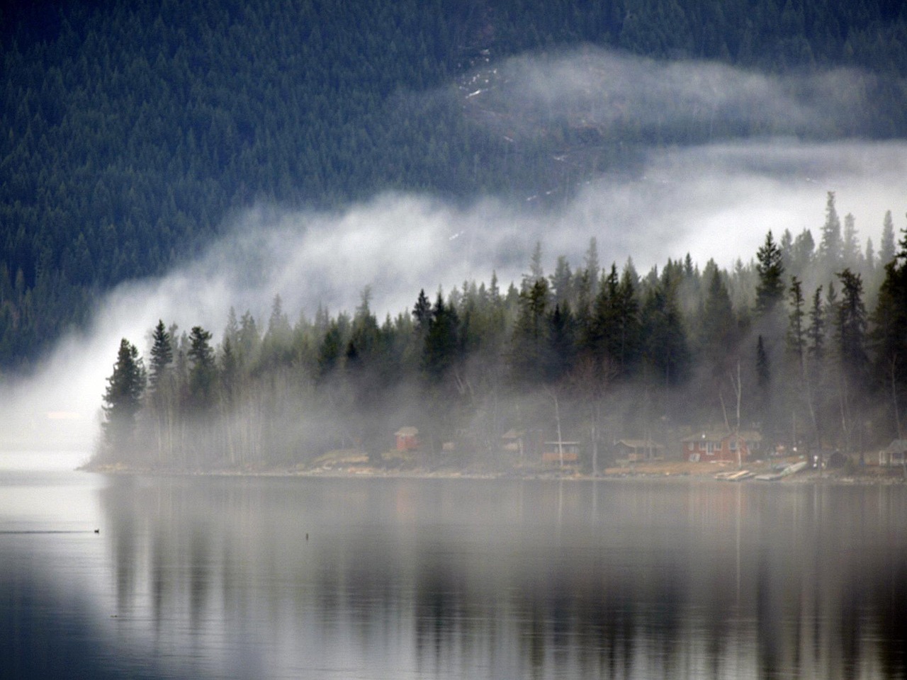foggy, canim lake, resort, trees, landscape, nature, british columbia, canada, gray lake