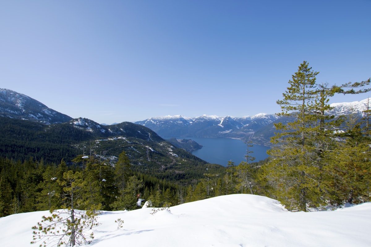 a snowy mountain with trees and a lake in the distance