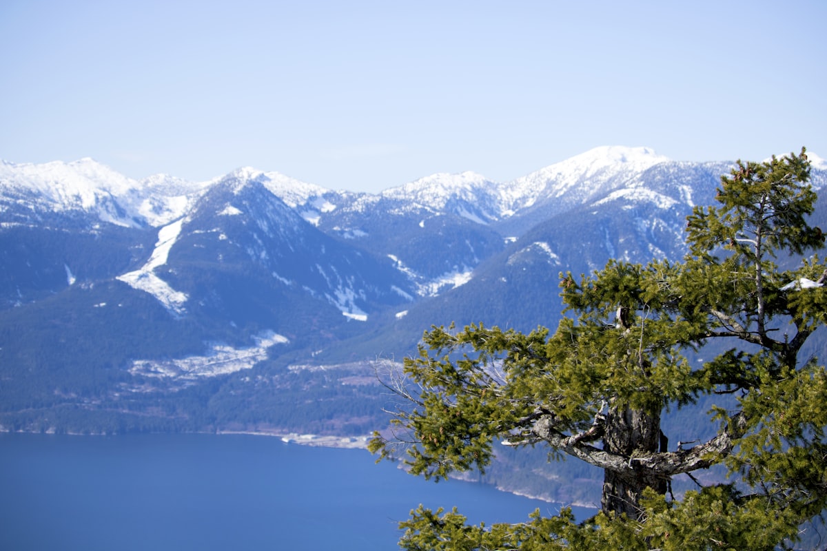 a lake with snowy mountains in the background
