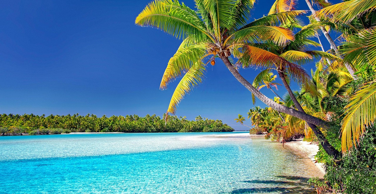 cook islands, beach, palm trees, sand, sea, island, nature, vacations, ocean, to travel, water, paradise, tropical, landscape, heaven, relax, exotic, aitutaki
