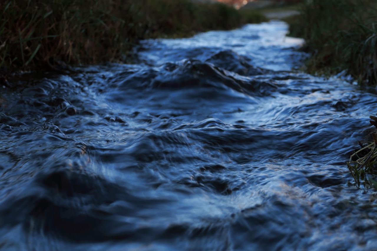 river, stream, brook, creek, morning, sunrise, serenity, spring, nature, river, river, river, river, river, stream, stream, creek, spring