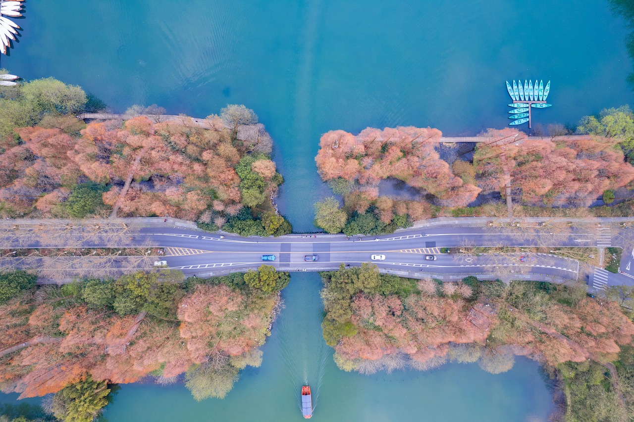 hangzhou west lake, west lake, scenery, forest, nature, travel, exploration, outdoors