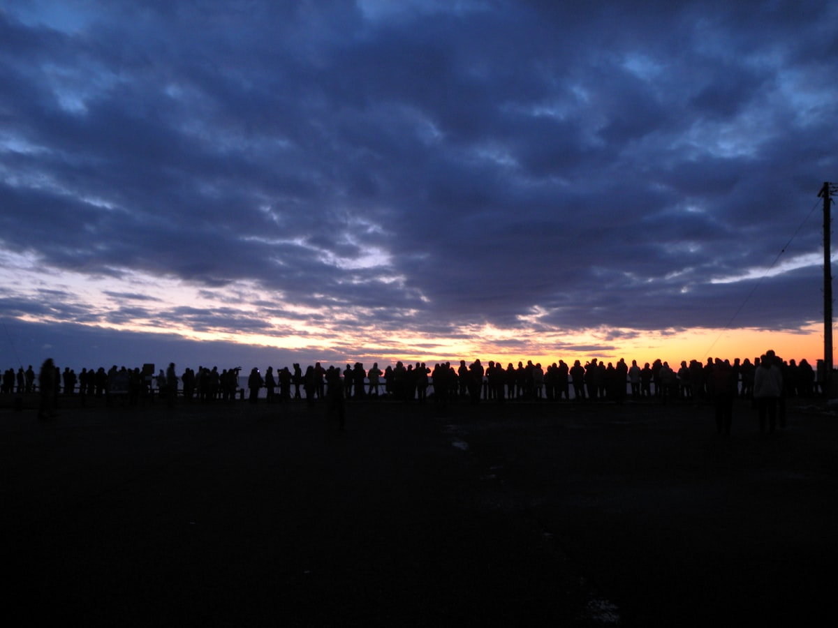silhouette of trees under cloudy sky during sunset