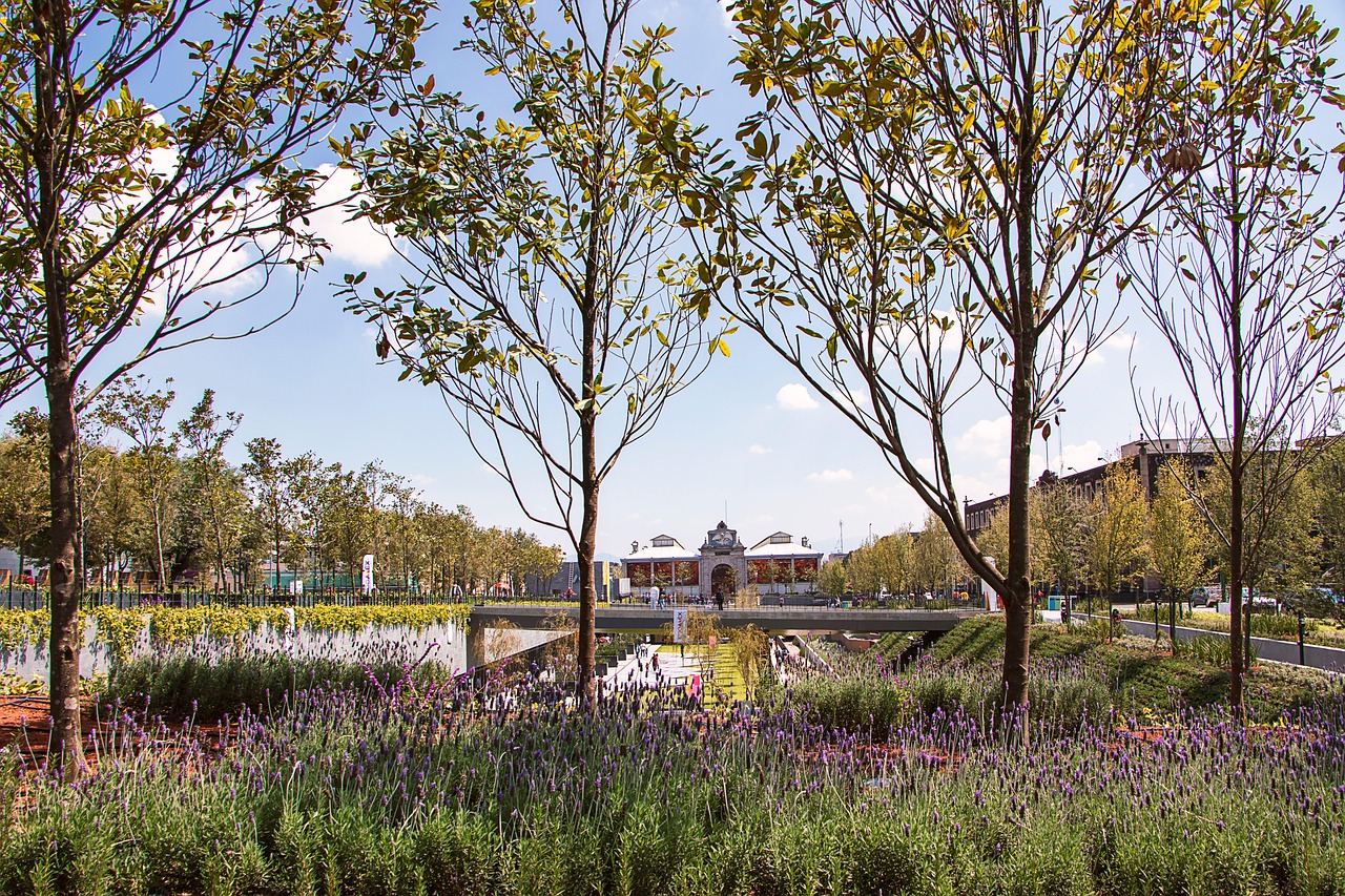 founders science park, toluca, park, nature, mexico, parque de la ciencia fundadores, landscape, trees, science park, cosmovitral, urban, city, tourism