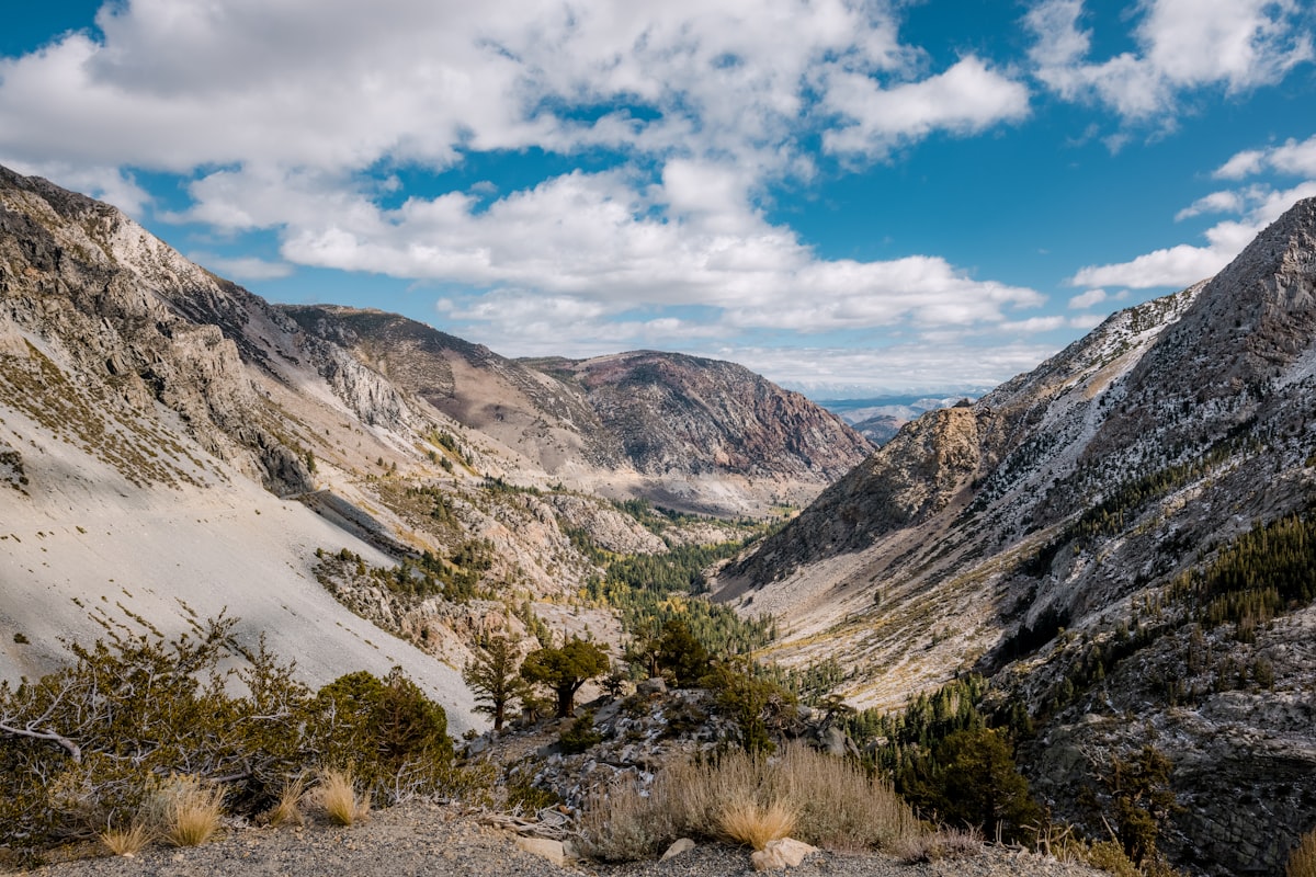a view of a valley with mountains in the background
