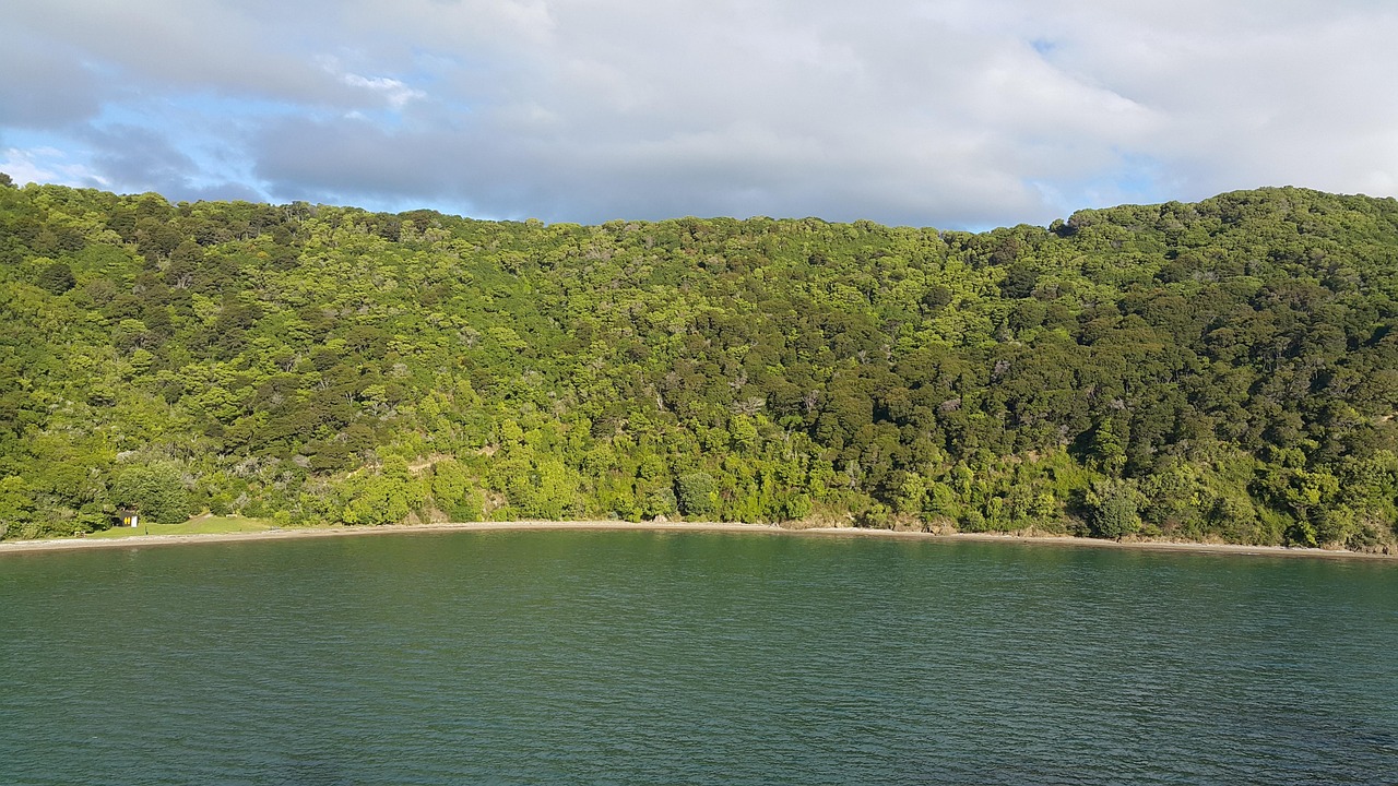 water, nature, landscape, sky, summer, sea, seashore, travel, scenic, marlborough sounds, new zealand, picton, destination, cliff, scenery, bay, coastline, tourism, seascape