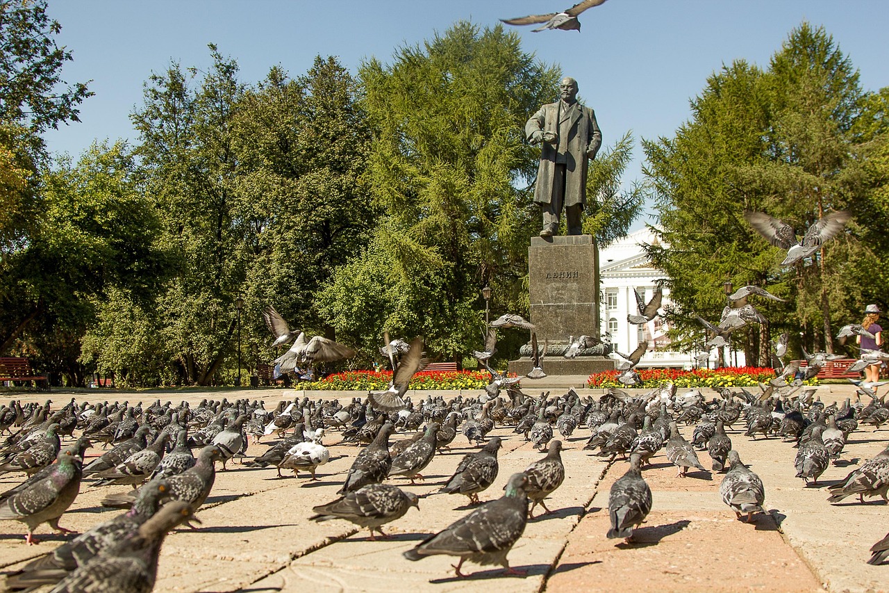 pigeons, lenin, area, birds, nature, summer