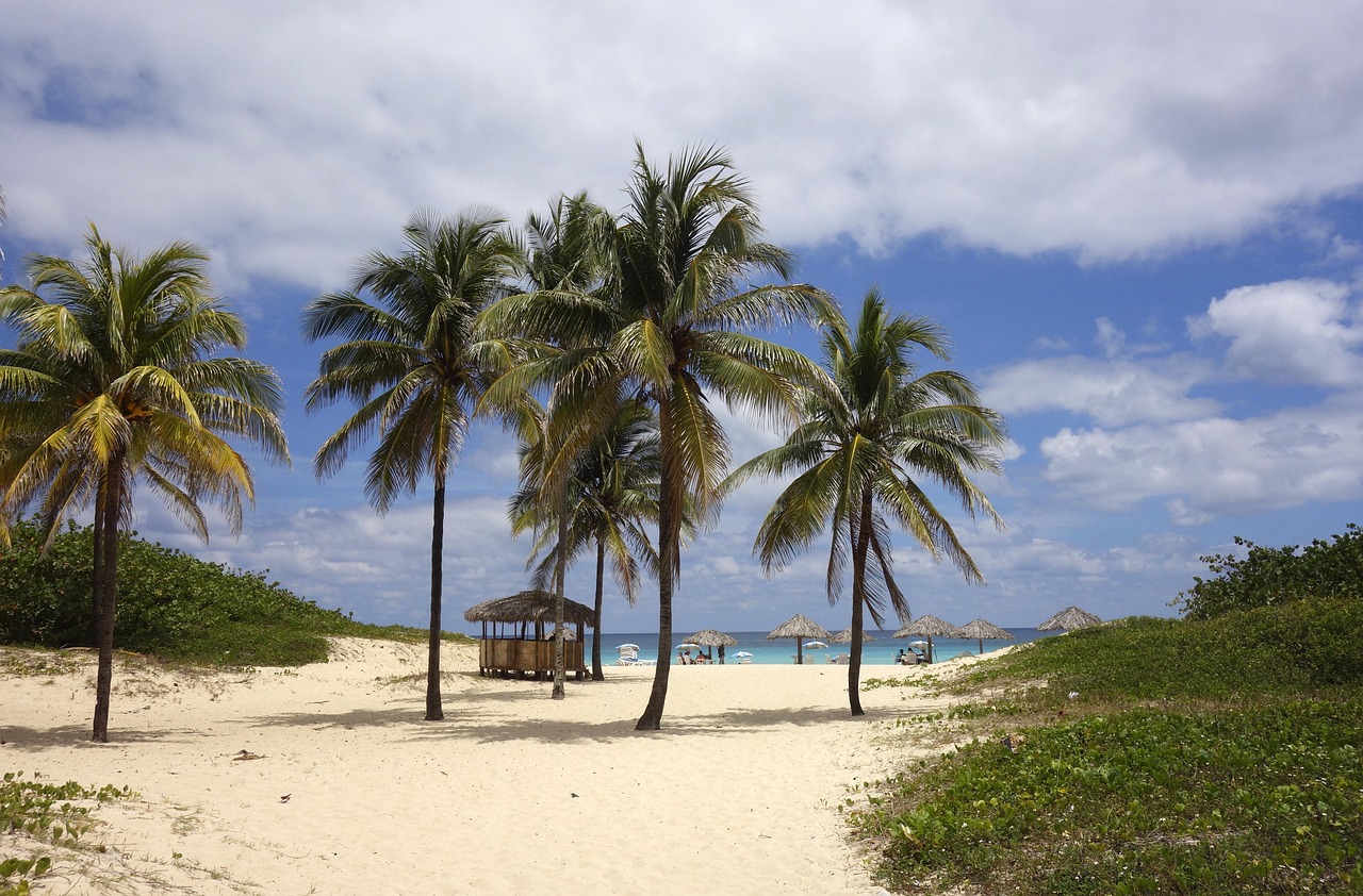 beach, sea, dream, palm trees, sand, caribbean, cuba, south seas, brazil, rio, havana, varadero, ocean, water, vacations, asia, beautiful beaches, heaven, trees, pavilion, parasol, relax, relaxation, enjoyment of life, nature, sun, landscape, lake, summer, to travel, beautiful, landscapes, island, tropics, tropical, exotic, idyllic, romantic, horizon, pleasure, palm trees, cuba, cuba, cuba, cuba, cuba, brazil, brazil, havana, varadero, varadero, varadero