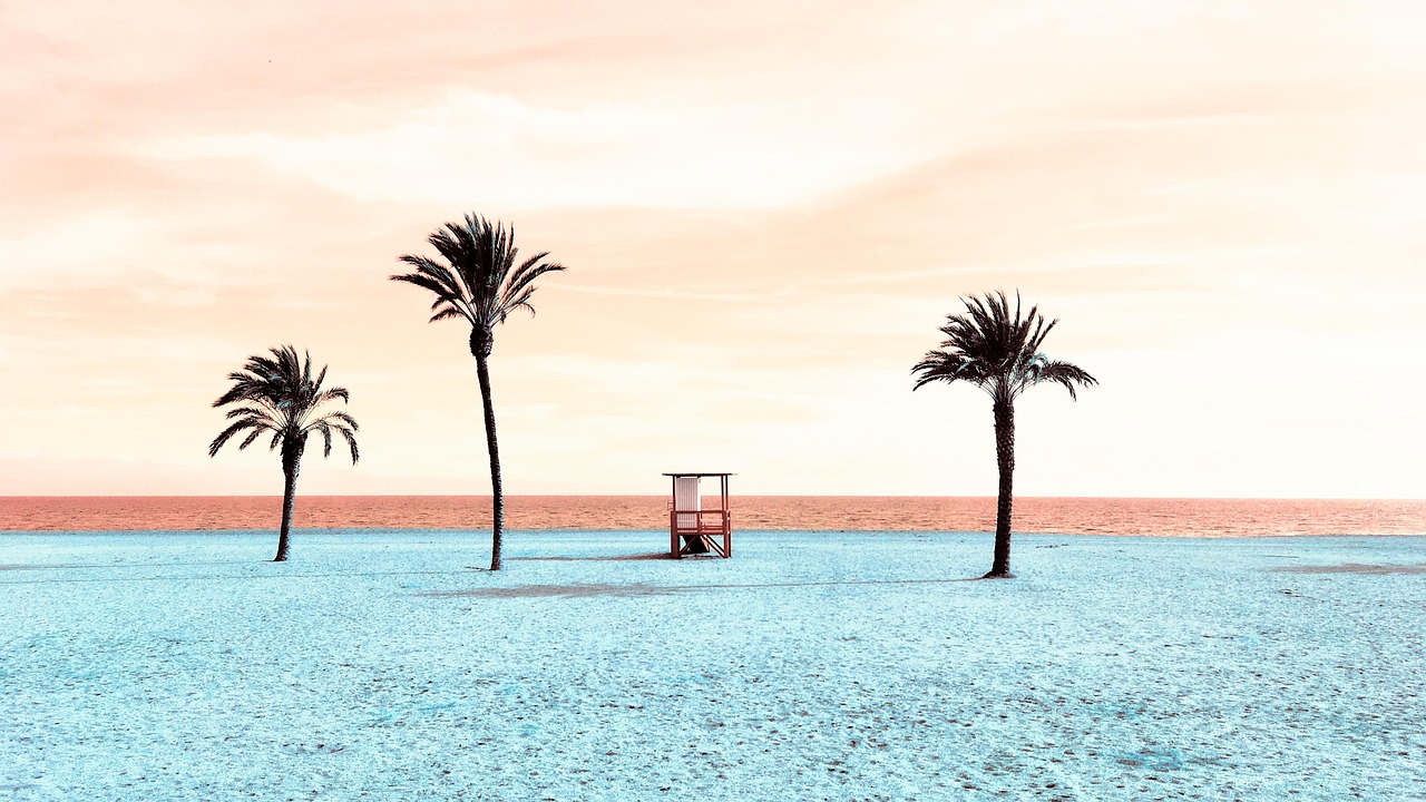 beach, sea, sand, palm trees, loneliness, nature, beach, beach, sea, sea, sea, sea, sea, nature, nature