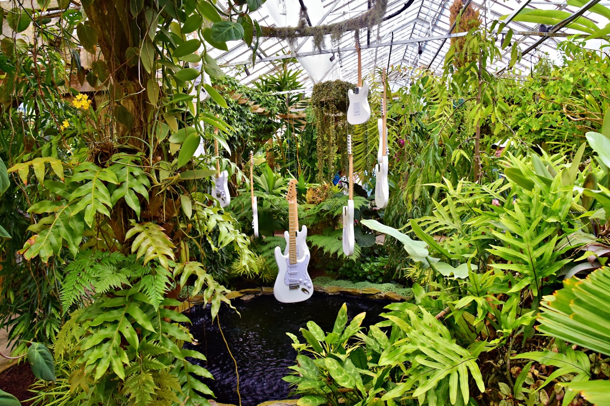 Guitars are hanging in a lush, green garden.