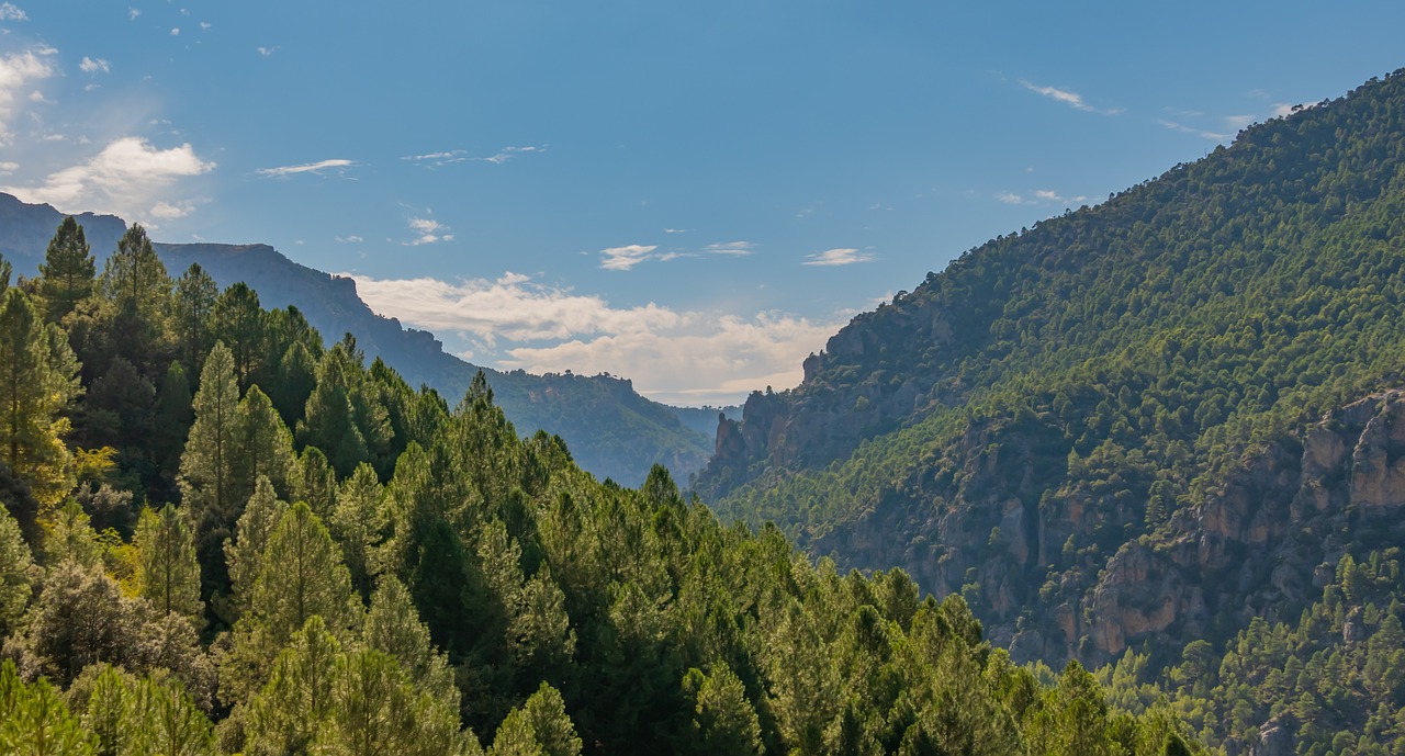 landscape, mountains, trees, fog, mist, foliage, greenery, mountain range, highlands, countryside, scenery, nature, forest, sierra del segura, jaén, spain