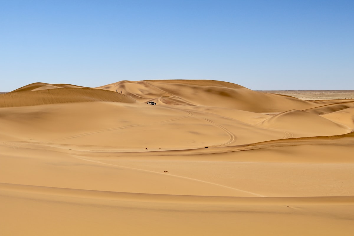 brown desert dunes
