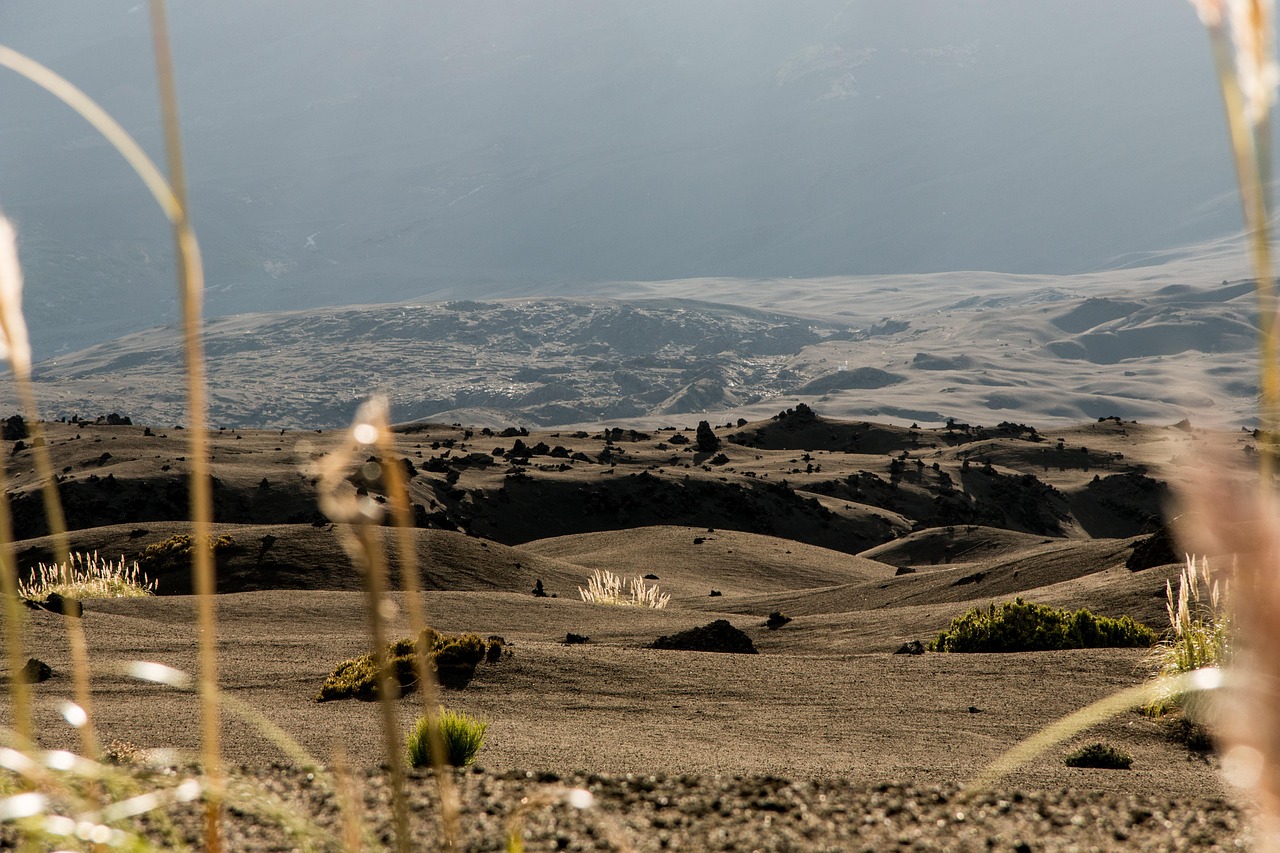 chile, region de la araucania, conguillío national park, llaima, moutains, volcano, landscape