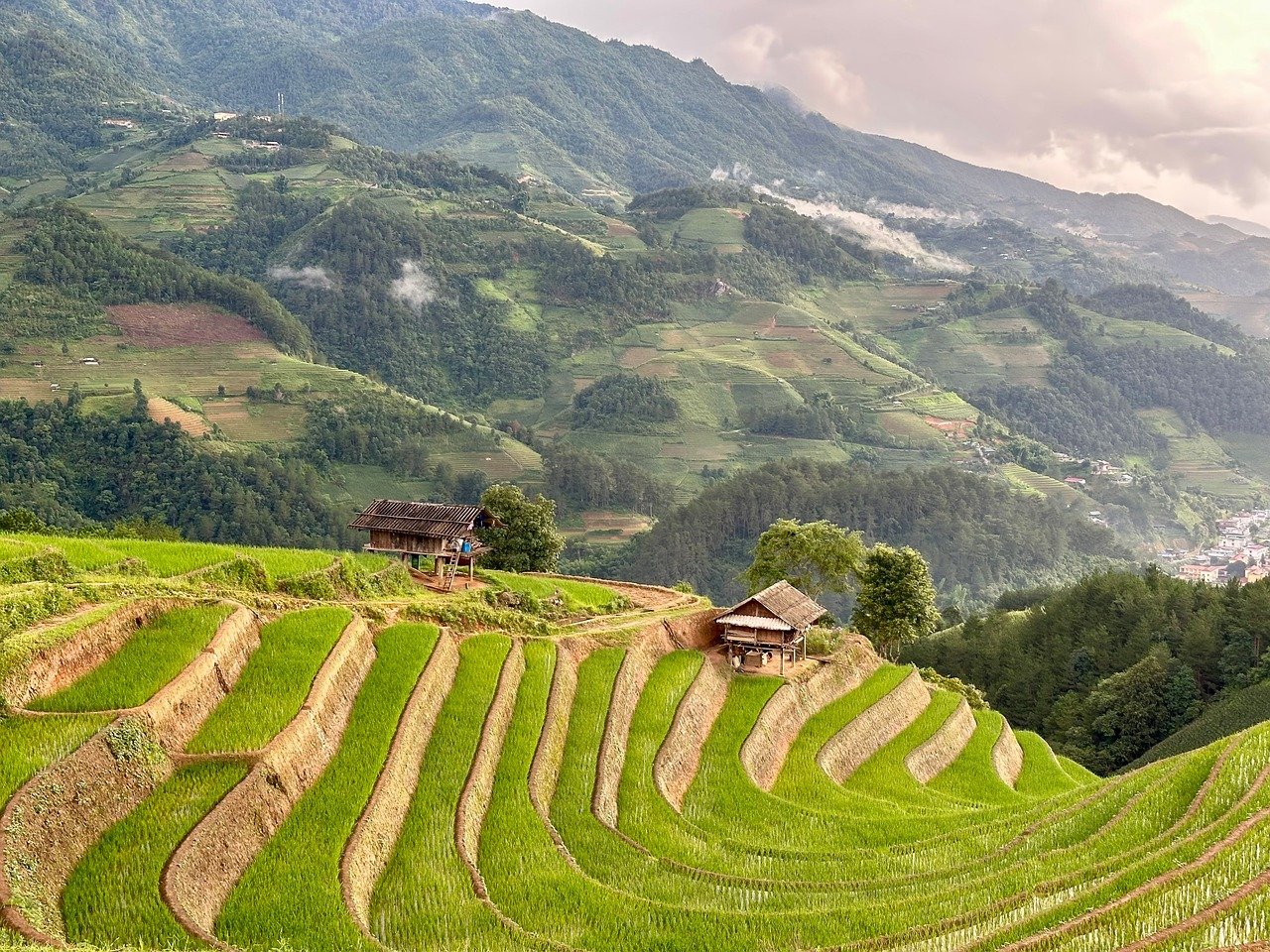 rice, agriculture, vietnam, nature, green, countryside, house, moutains, landscape