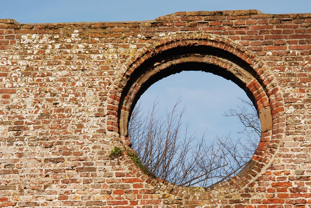 wall, stones, old, window, glimpse, tree, history, church, ruin, nature, architecture