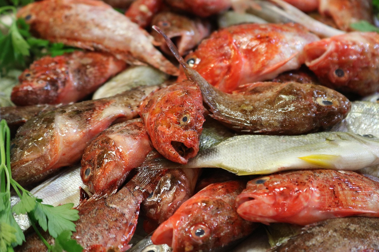 fish market, fish stand, market hall, palma, palma de mallorca, nature, mercat de l'olivar, shopping, food, fresh, sea animals, market stall, sale, market, fish, fishing