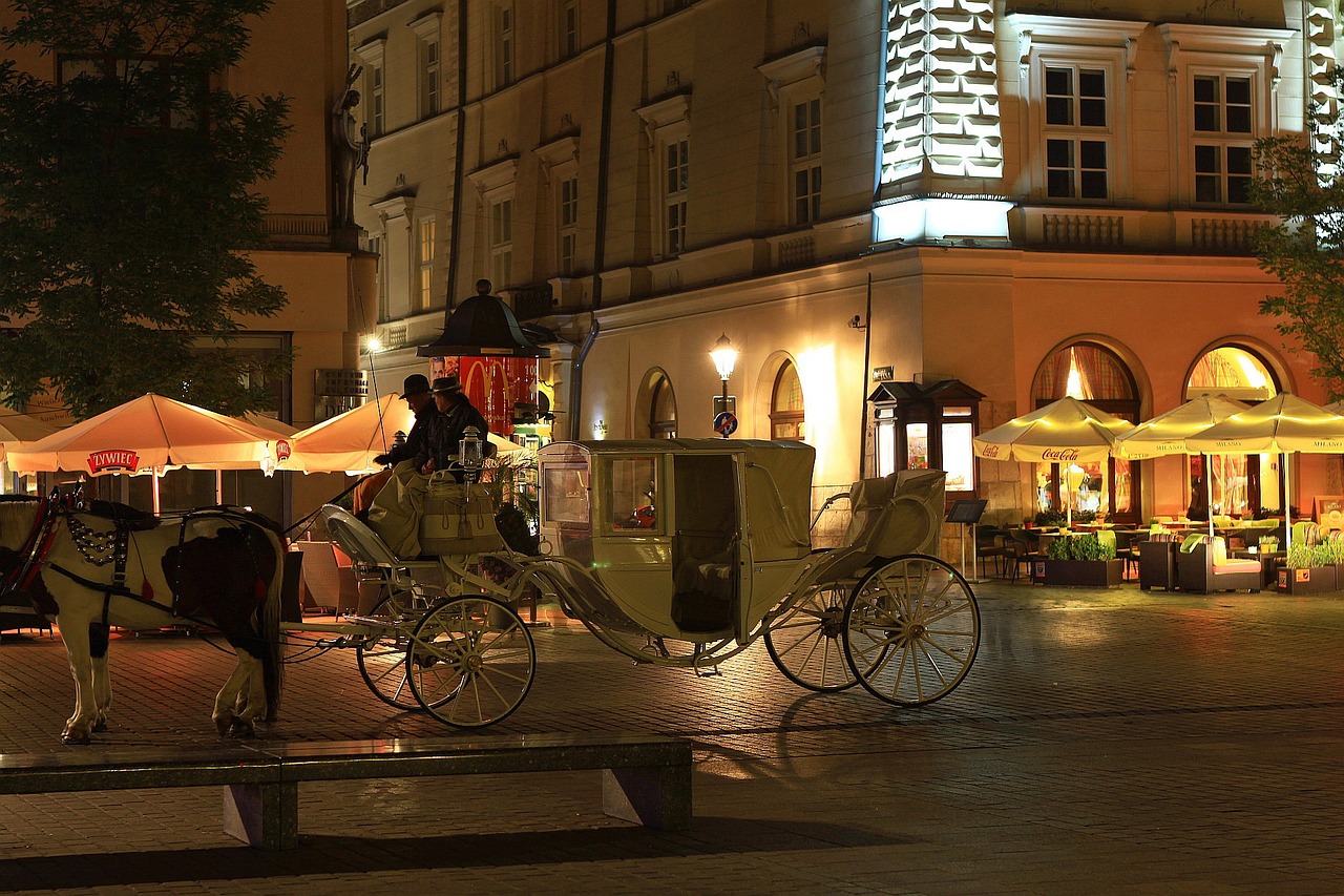 carriage, horse, animal, cracow, krakow, market, square, architecture, old, town, nature, lights, brown market