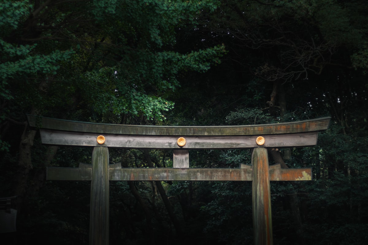 Wooden torii gate in a dark forest setting.