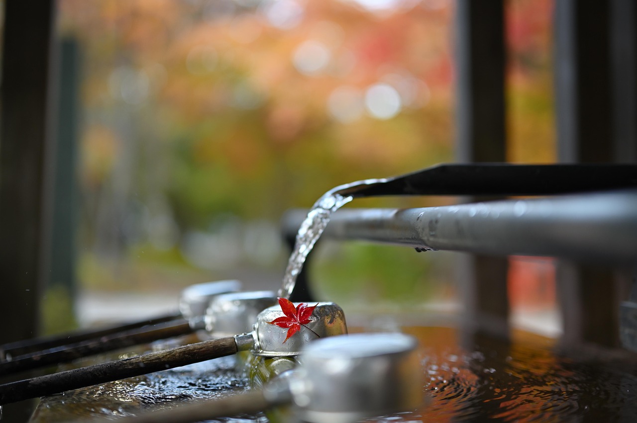 autumnal leaves, shrine, sacred water, japan, water, nature, fallen leaves