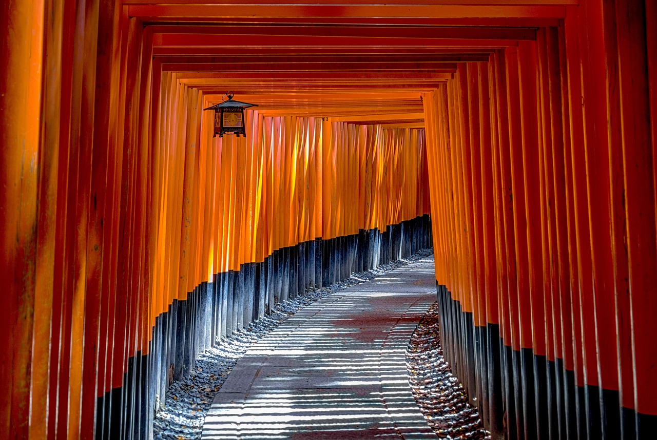 fushimi inari shrine, torii, temple, shinto, torii gates, architecture, oriental, traditional, shrine, heritage, ancient, historic, historical, famous, japanese, asian, kyoto, japan, zoom background, japan, japan, japan, japan, japan