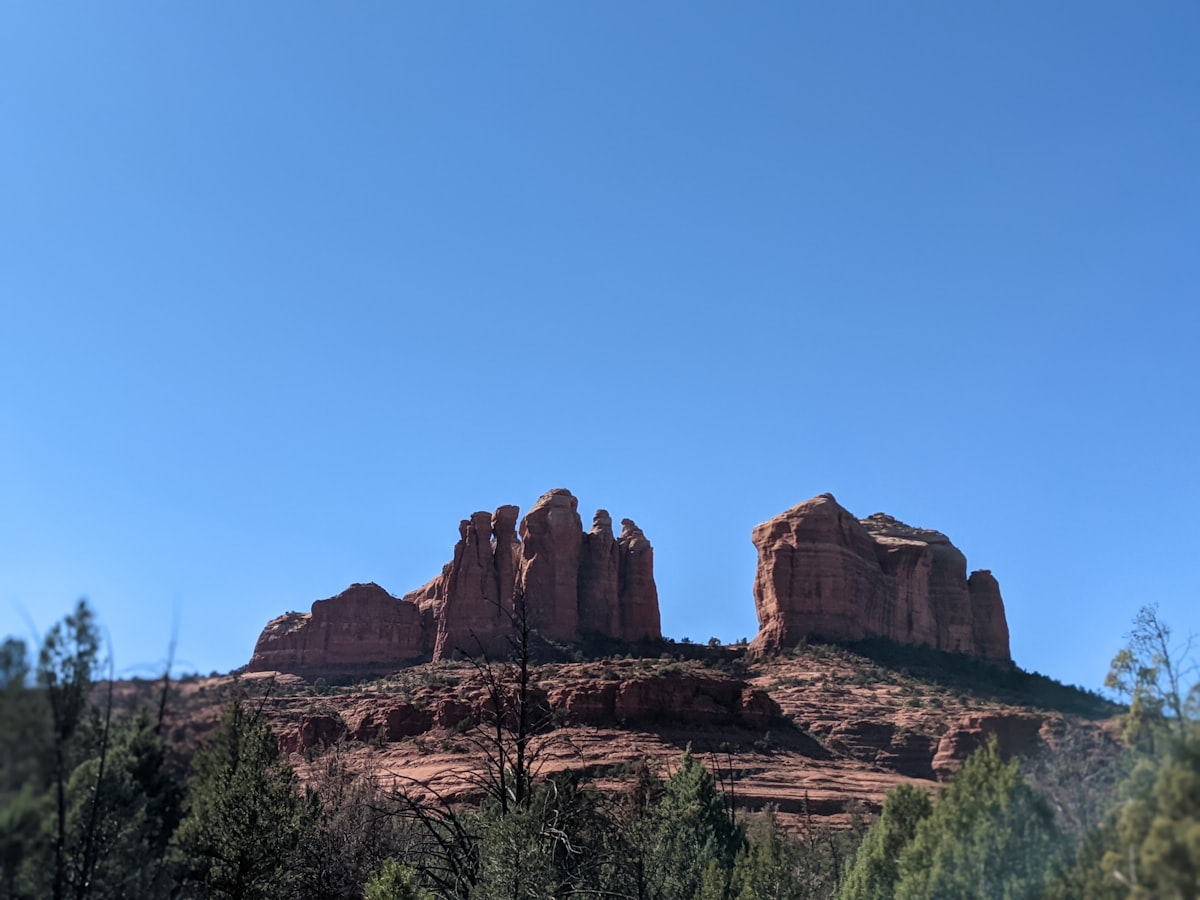 a large rock formation in the middle of a forest